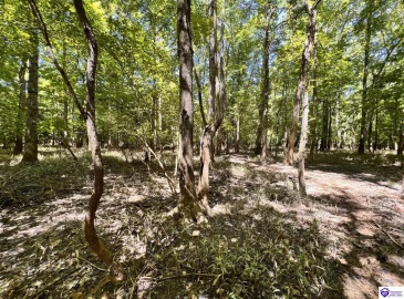 Sunnydale Road, Hartford, Kentucky 42347-0000, ,1 BathroomBathrooms,For Sale,Sunnydale Road,HK24002805