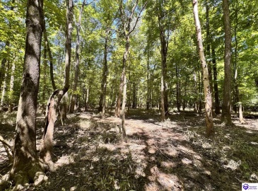 Sunnydale Road, Hartford, Kentucky 42347-0000, ,1 BathroomBathrooms,For Sale,Sunnydale Road,HK24002805