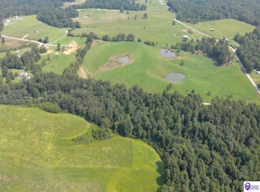 Meeting Creek Road, Eastview, Kentucky 42732, ,For Sale,Meeting Creek Road,HK24002808