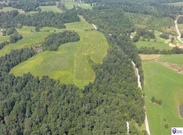Meeting Creek Road, Eastview, Kentucky 42732, ,For Sale,Meeting Creek Road,HK24002808