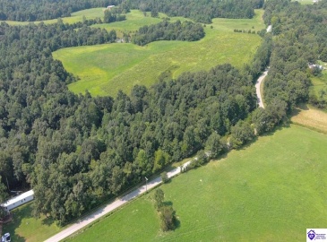 Meeting Creek Road, Eastview, Kentucky 42732, ,For Sale,Meeting Creek Road,HK24002808