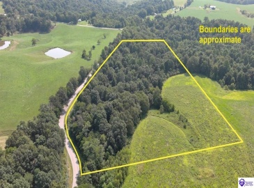 Meeting Creek Road, Eastview, Kentucky 42732, ,For Sale,Meeting Creek Road,HK24002808