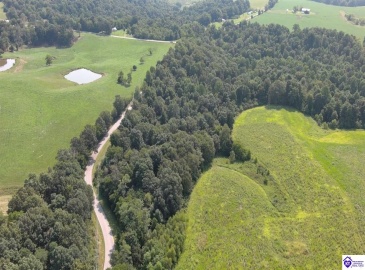 Meeting Creek Road, Eastview, Kentucky 42732, ,For Sale,Meeting Creek Road,HK24002808