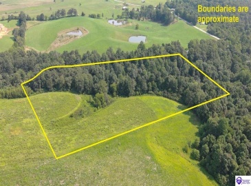 Meeting Creek Road, Eastview, Kentucky 42732, ,For Sale,Meeting Creek Road,HK24002808