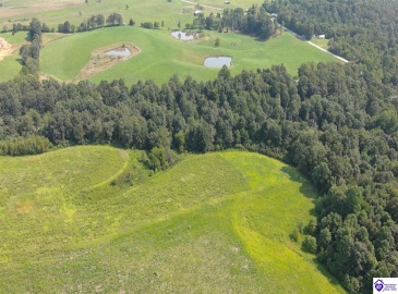 Meeting Creek Road, Eastview, Kentucky 42732, ,For Sale,Meeting Creek Road,HK24002808