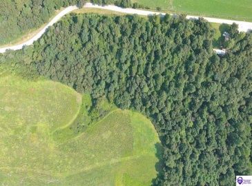 Meeting Creek Road, Eastview, Kentucky 42732, ,For Sale,Meeting Creek Road,HK24002808