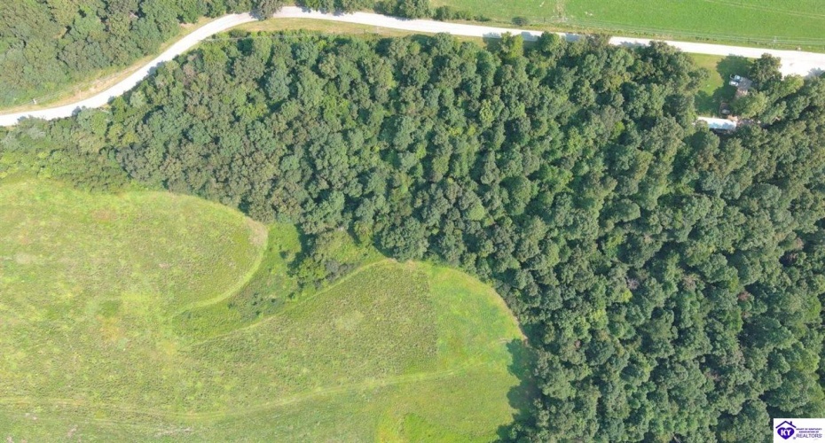 Meeting Creek Road, Eastview, Kentucky 42732, ,For Sale,Meeting Creek Road,HK24002808