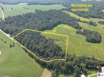 Meeting Creek Road, Eastview, Kentucky 42732, ,For Sale,Meeting Creek Road,HK24002808