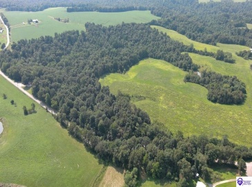 Meeting Creek Road, Eastview, Kentucky 42732, ,For Sale,Meeting Creek Road,HK24002808