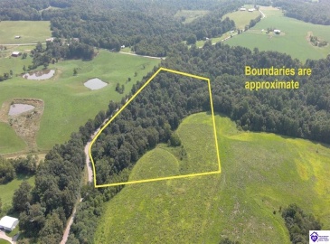 Meeting Creek Road, Eastview, Kentucky 42732, ,For Sale,Meeting Creek Road,HK24002808