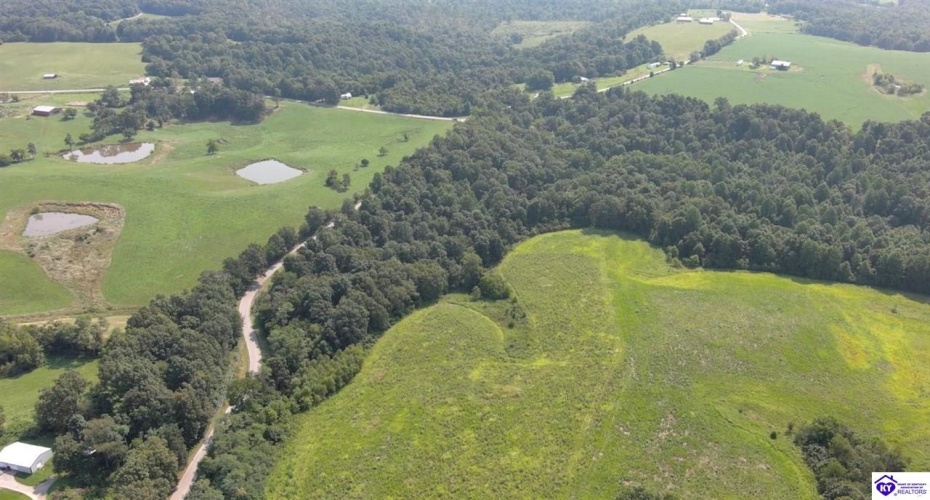 Meeting Creek Road, Eastview, Kentucky 42732, ,For Sale,Meeting Creek Road,HK24002808