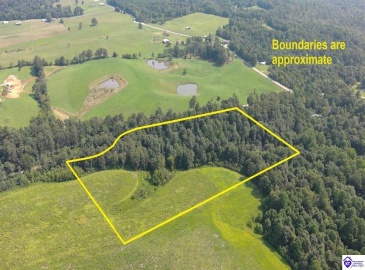 Meeting Creek Road, Eastview, Kentucky 42732, ,For Sale,Meeting Creek Road,HK24002808