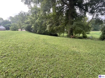 Eastview Road, Cecilia, Kentucky 42724, ,1 BathroomBathrooms,For Sale,Eastview Road,HK24002807