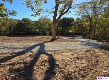 Rhodelia Road, Payneville, Kentucky 40157, ,For Sale,Rhodelia Road,HK24002832