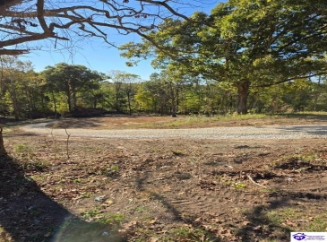 Rhodelia Road, Payneville, Kentucky 40157, ,For Sale,Rhodelia Road,HK24002832