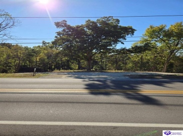 Rhodelia Road, Payneville, Kentucky 40157, ,For Sale,Rhodelia Road,HK24002832