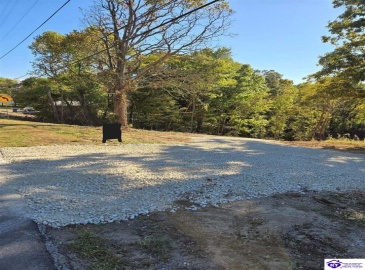 Rhodelia Road, Payneville, Kentucky 40157, ,For Sale,Rhodelia Road,HK24002832