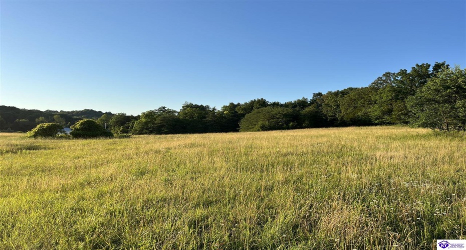 Wright Lane, Bonnieville, Kentucky 42713, ,For Sale,Wright Lane,HK24002838