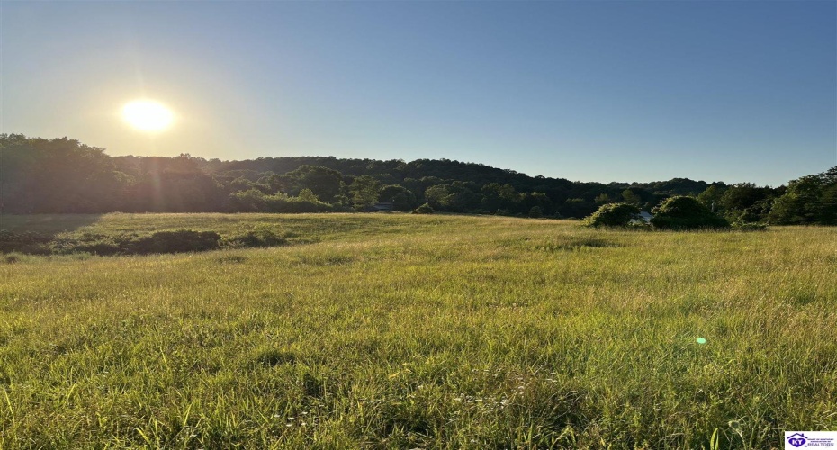 Wright Lane, Bonnieville, Kentucky 42713, ,For Sale,Wright Lane,HK24002838