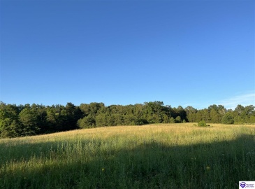 Wright Lane, Bonnieville, Kentucky 42713, ,For Sale,Wright Lane,HK24002838