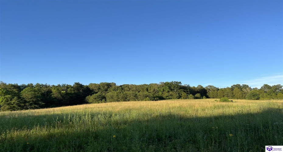 Wright Lane, Bonnieville, Kentucky 42713, ,For Sale,Wright Lane,HK24002838