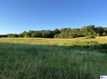 Wright Lane, Bonnieville, Kentucky 42713, ,For Sale,Wright Lane,HK24002838