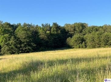 Wright Lane, Bonnieville, Kentucky 42713, ,For Sale,Wright Lane,HK24002838