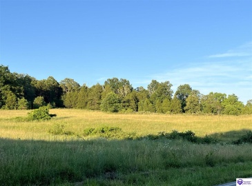 Wright Lane, Bonnieville, Kentucky 42713, ,For Sale,Wright Lane,HK24002838