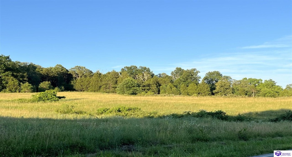 Wright Lane, Bonnieville, Kentucky 42713, ,For Sale,Wright Lane,HK24002838