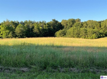 Wright Lane, Bonnieville, Kentucky 42713, ,For Sale,Wright Lane,HK24002838