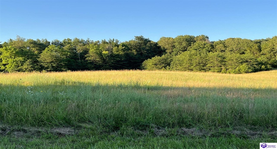 Wright Lane, Bonnieville, Kentucky 42713, ,For Sale,Wright Lane,HK24002838