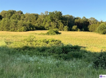 Wright Lane, Bonnieville, Kentucky 42713, ,For Sale,Wright Lane,HK24002838