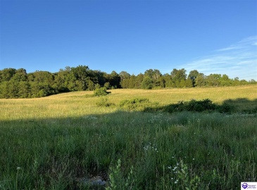 Wright Lane, Bonnieville, Kentucky 42713, ,For Sale,Wright Lane,HK24002838