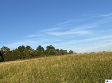 Wright Lane, Bonnieville, Kentucky 42713, ,For Sale,Wright Lane,HK24002838