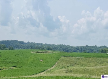 Bramlett Road, Greensburg, Kentucky 42743, ,For Sale,Bramlett Road,HK24002841