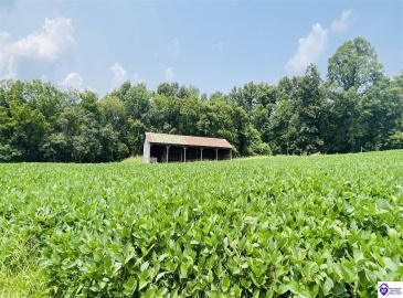 Bramlett Road, Greensburg, Kentucky 42743, ,For Sale,Bramlett Road,HK24002841