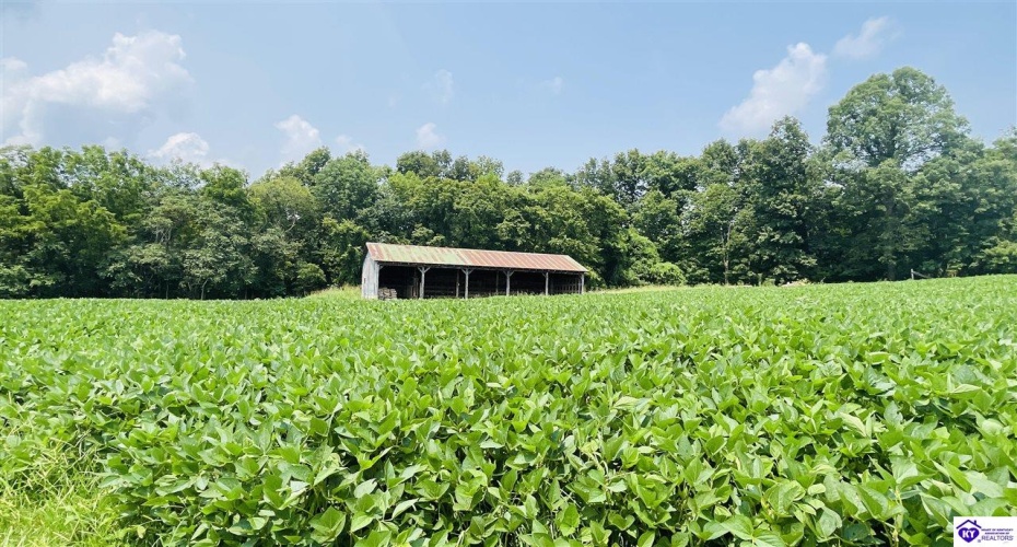 Bramlett Road, Greensburg, Kentucky 42743, ,For Sale,Bramlett Road,HK24002841