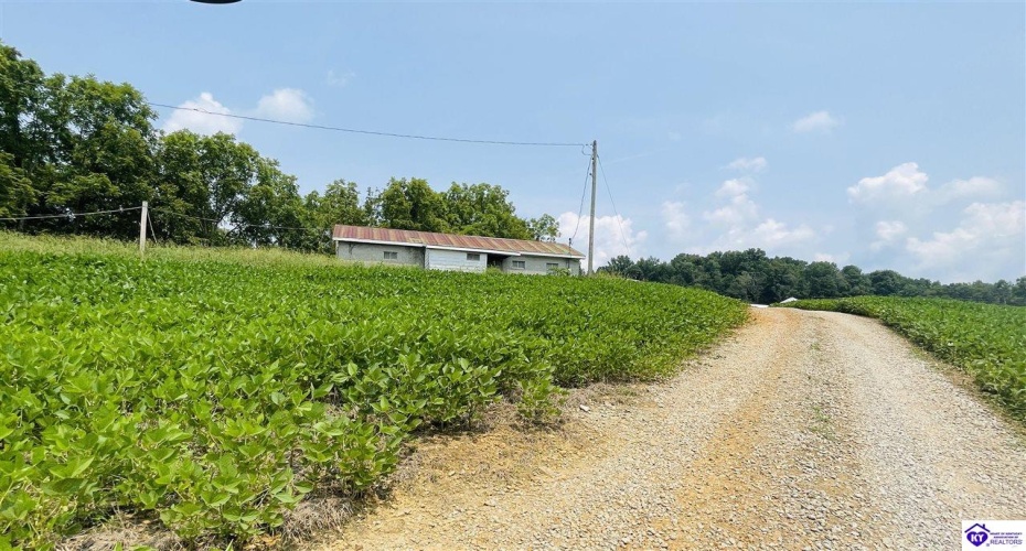 Bramlett Road, Greensburg, Kentucky 42743, ,For Sale,Bramlett Road,HK24002841