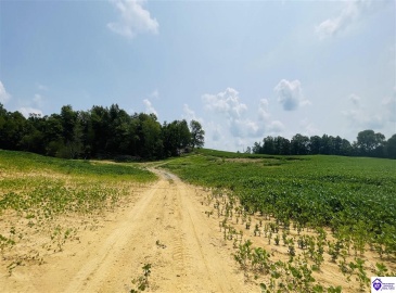 Bramlett Road, Greensburg, Kentucky 42743, ,For Sale,Bramlett Road,HK24002841