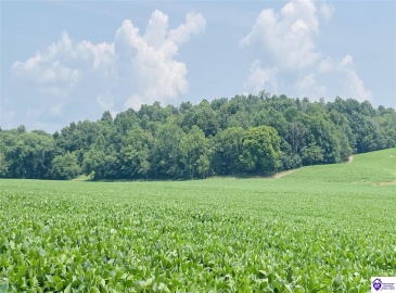 Bramlett Road, Greensburg, Kentucky 42743, ,For Sale,Bramlett Road,HK24002841