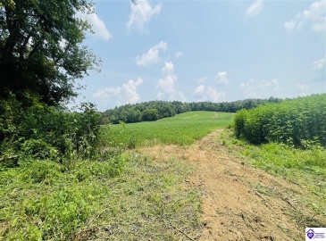 Bramlett Road, Greensburg, Kentucky 42743, ,For Sale,Bramlett Road,HK24002841