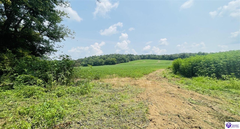 Bramlett Road, Greensburg, Kentucky 42743, ,For Sale,Bramlett Road,HK24002841