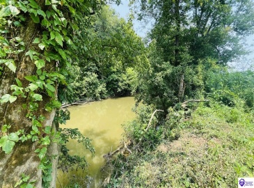 Bramlett Road, Greensburg, Kentucky 42743, ,For Sale,Bramlett Road,HK24002841