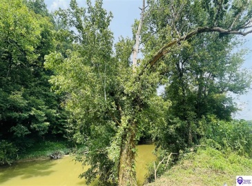 Bramlett Road, Greensburg, Kentucky 42743, ,For Sale,Bramlett Road,HK24002841