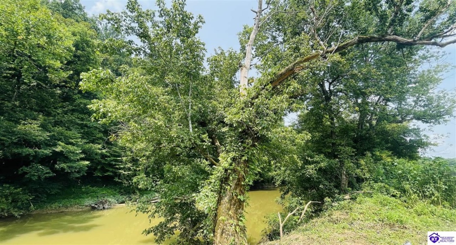 Bramlett Road, Greensburg, Kentucky 42743, ,For Sale,Bramlett Road,HK24002841