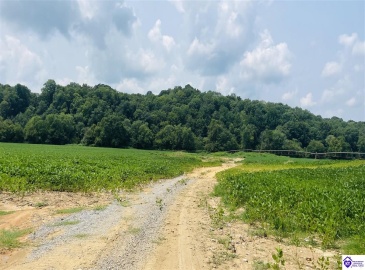 Bramlett Road, Greensburg, Kentucky 42743, ,For Sale,Bramlett Road,HK24002841