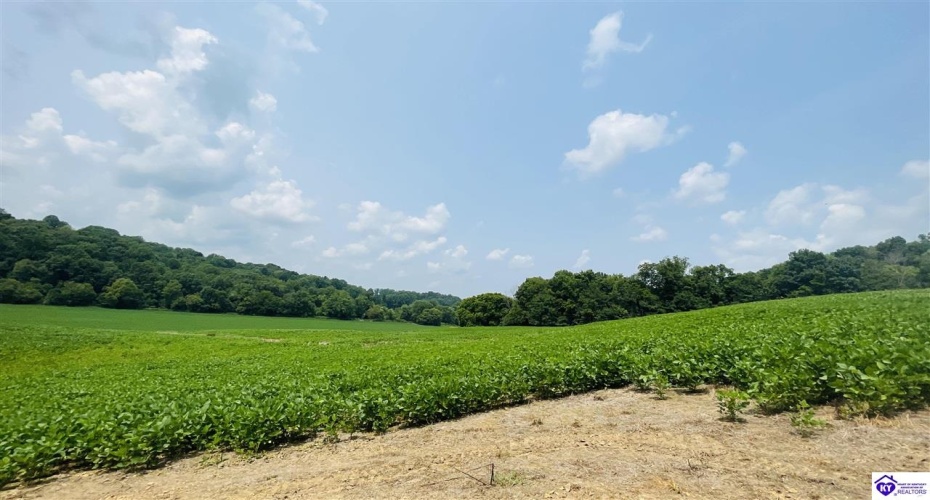 Bramlett Road, Greensburg, Kentucky 42743, ,For Sale,Bramlett Road,HK24002841