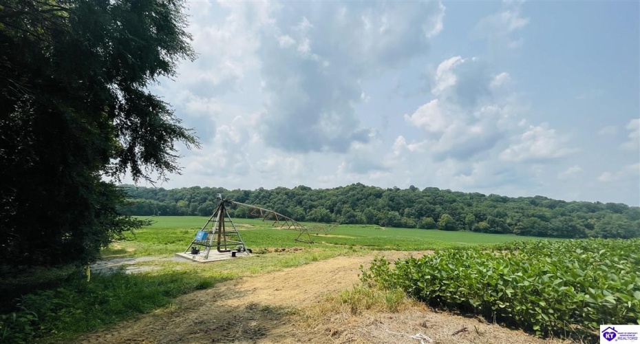 Bramlett Road, Greensburg, Kentucky 42743, ,For Sale,Bramlett Road,HK24002841