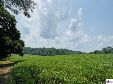 Bramlett Road, Greensburg, Kentucky 42743, ,For Sale,Bramlett Road,HK24002841