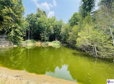 Bramlett Road, Greensburg, Kentucky 42743, ,For Sale,Bramlett Road,HK24002841